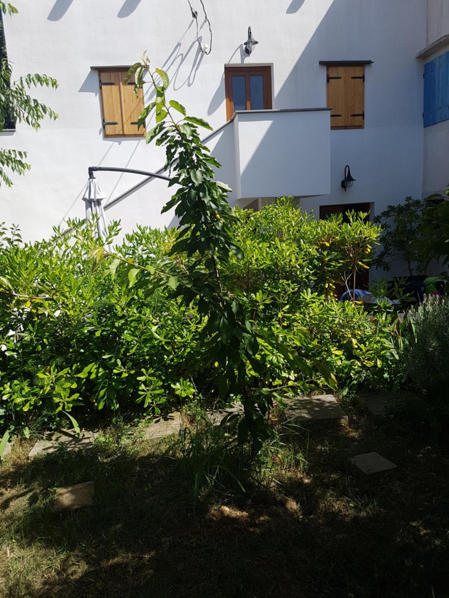 Apartman Stella Maris Lussingrande Esterno foto